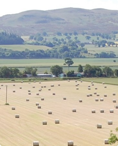 Scottish field.png