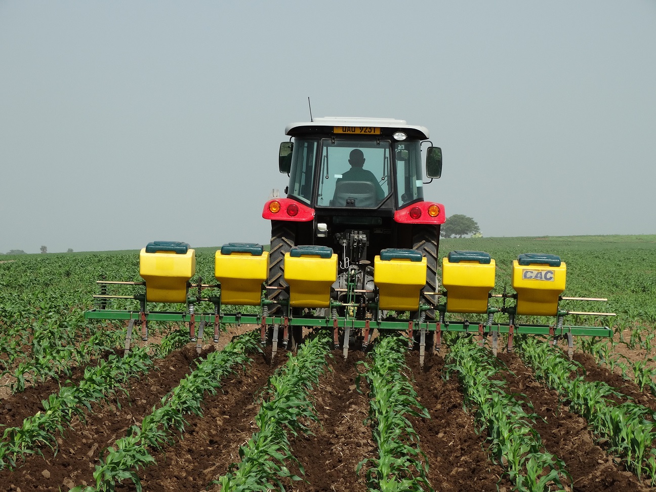 Maize farming resized.jpg